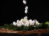 Công dụng tuyệt vời của kén tằm